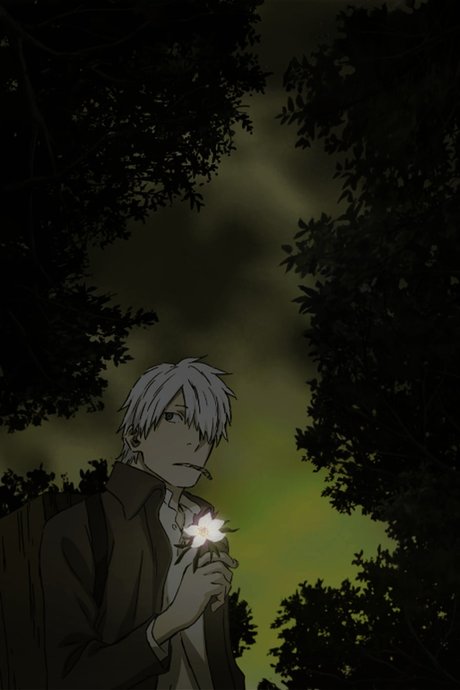 Mushishi: Hihamukage