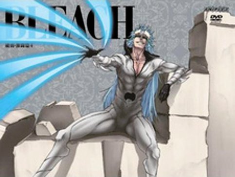 Bleach: Arrancar Gekitou-hen Recap