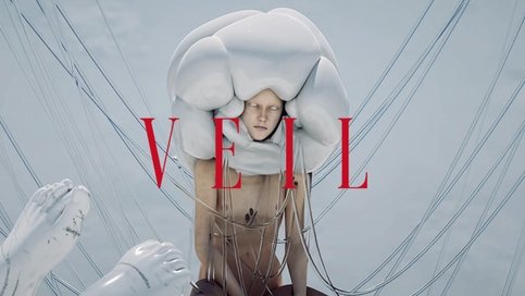 Veil