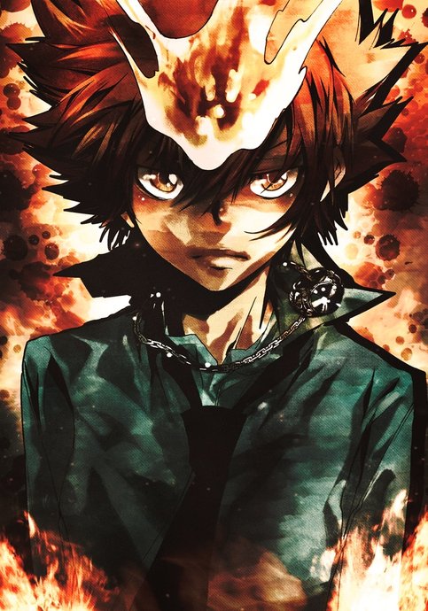 Katekyo Hitman Reborn!