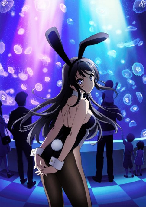 Seishun Buta Yarou wa Bunny Girl Senpai no Yume wo Minai