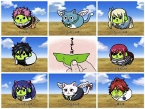 Fairy Tail x Mameshiba